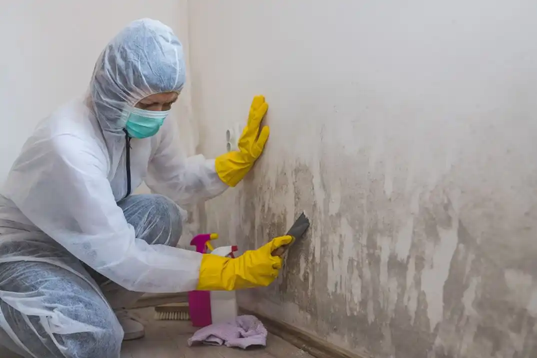 water damage restoration service Laird Street